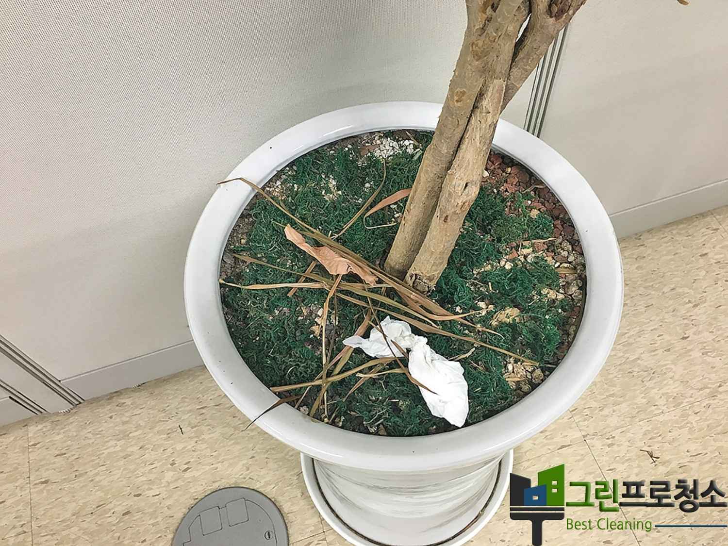 분당 청소 현장 사진