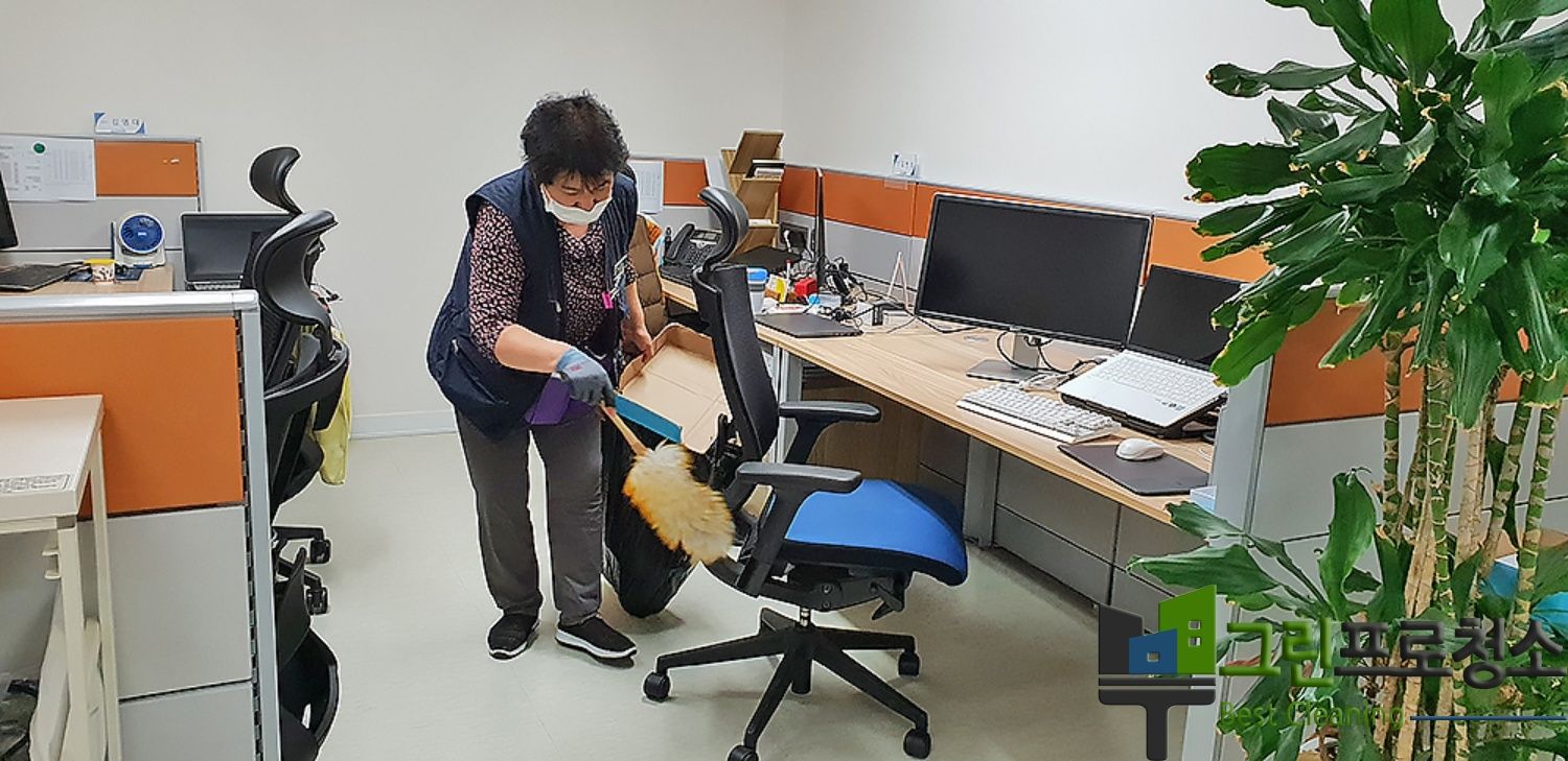 야간 청소 전후 변화 비교